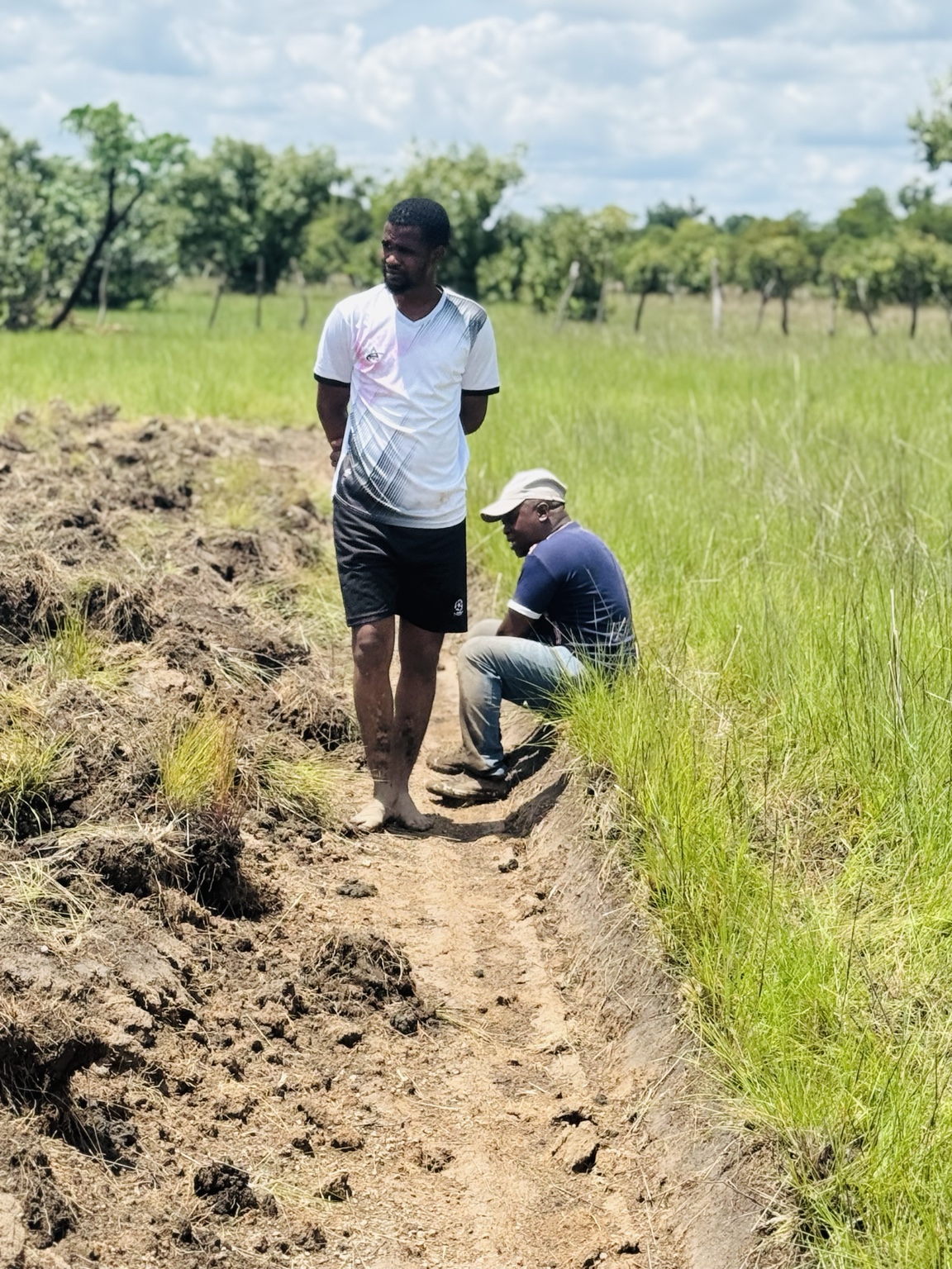 Équipe aménageant les canaux d’une parcelle agricole