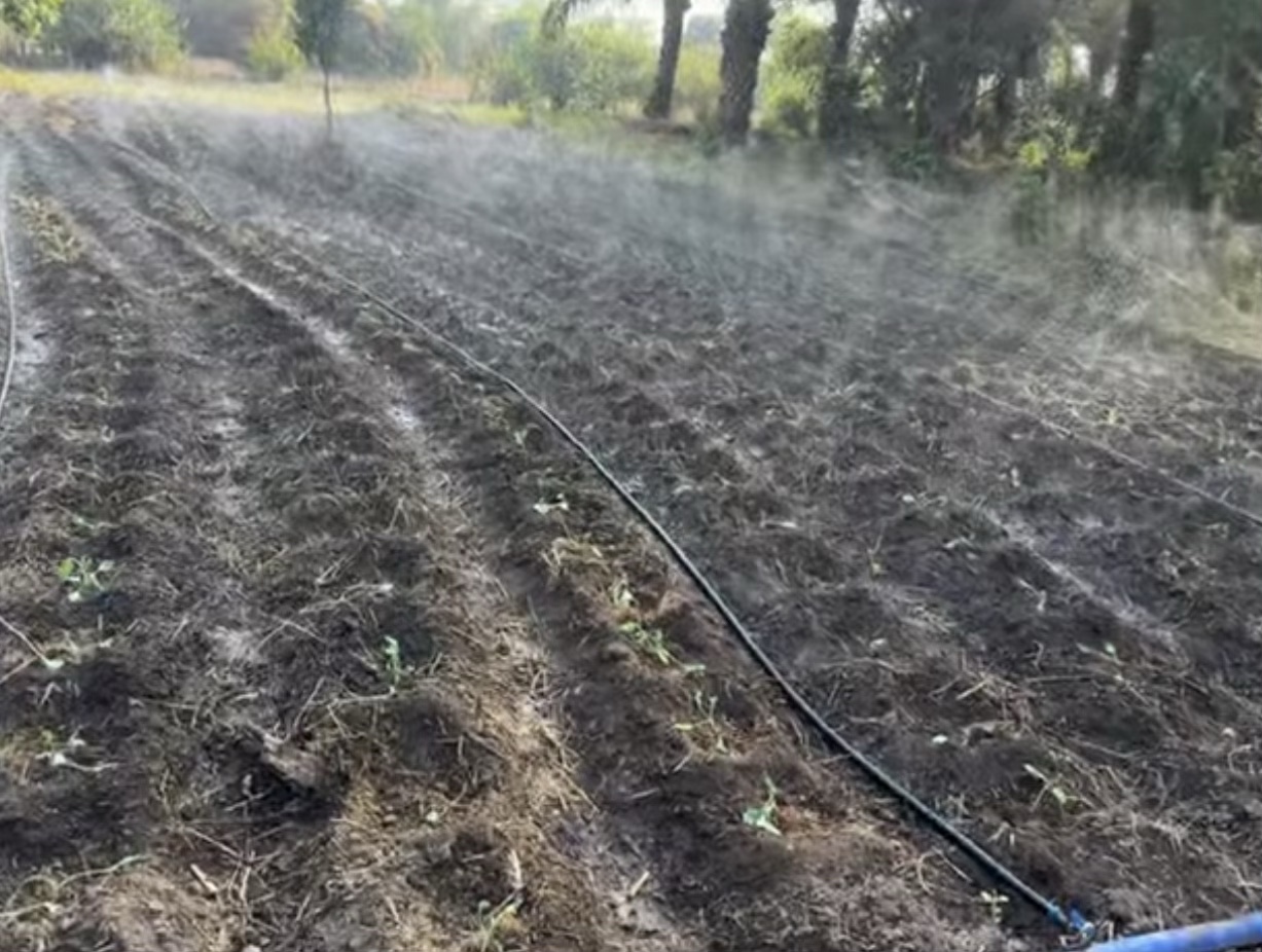 Système d’aspersion en fonctionnement sur une parcelle