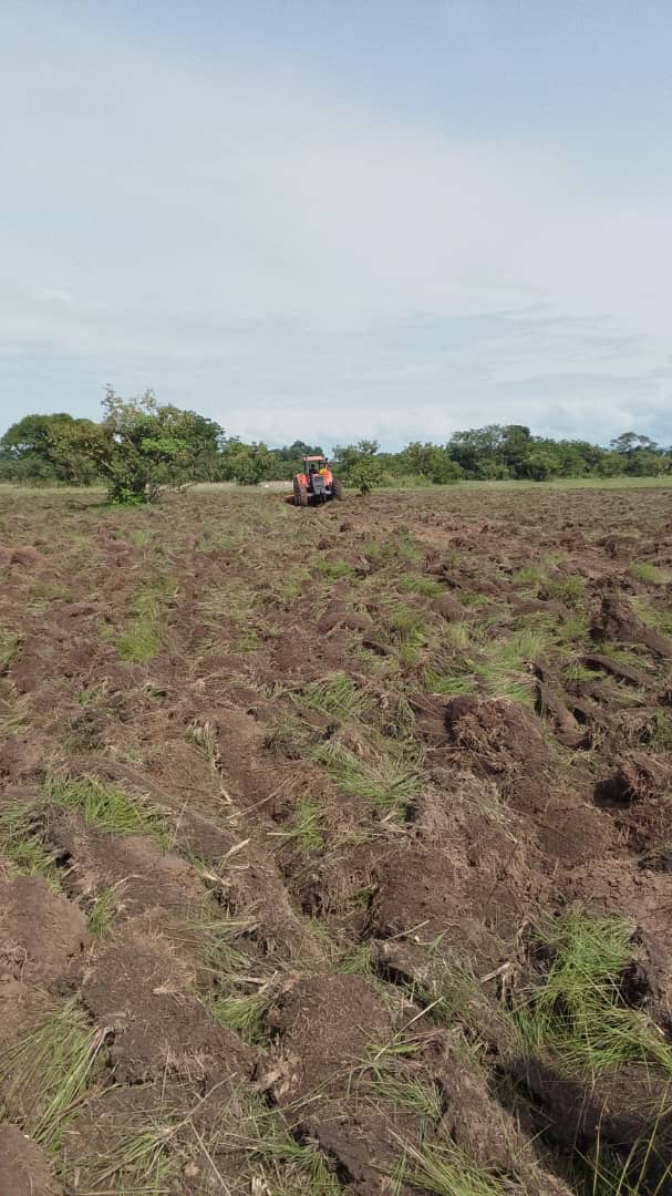 Tracteur préparant le sol de la parcelle